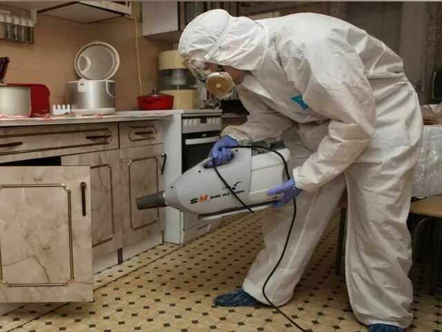 сэс Рязань